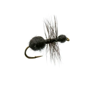 Black Fur Ant