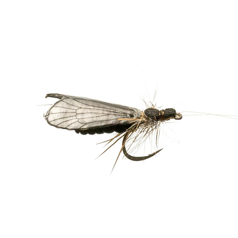 Caddis