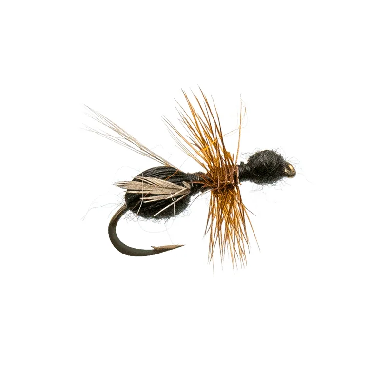 Flying Ant Black