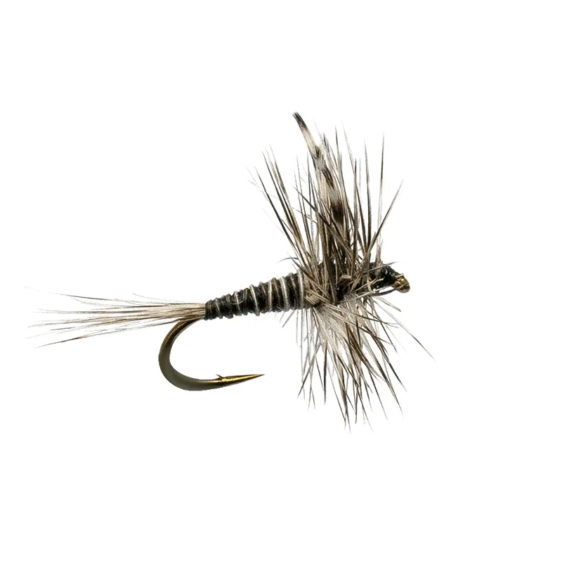 Mosquito